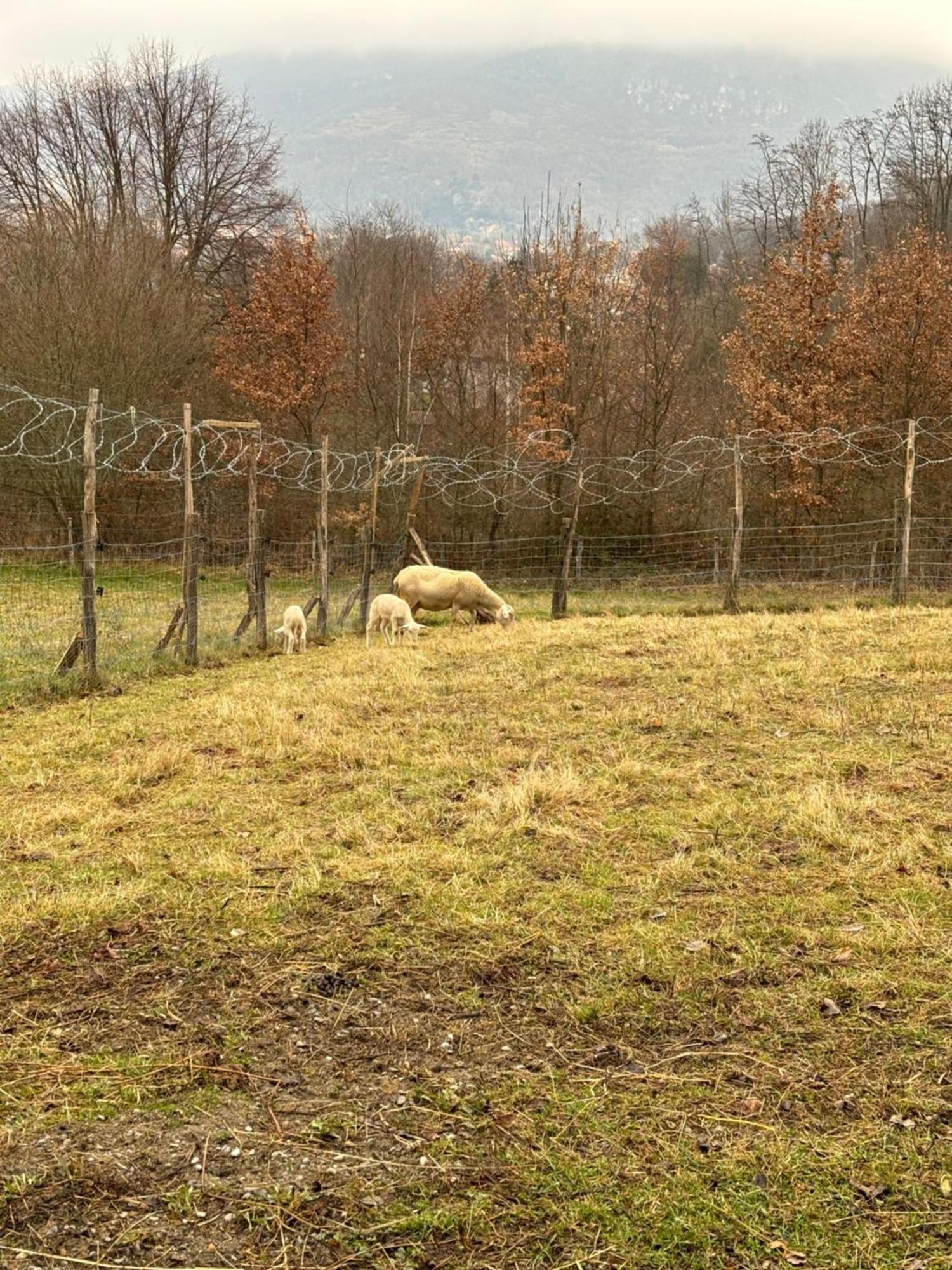Les D'agath'anes Séjour à la campagne Ganac